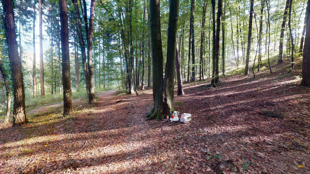Franziskus Urnenhain in der Weststeiermark - ein Mensch-Tier-Friedhof als besondere Gedenkstätte