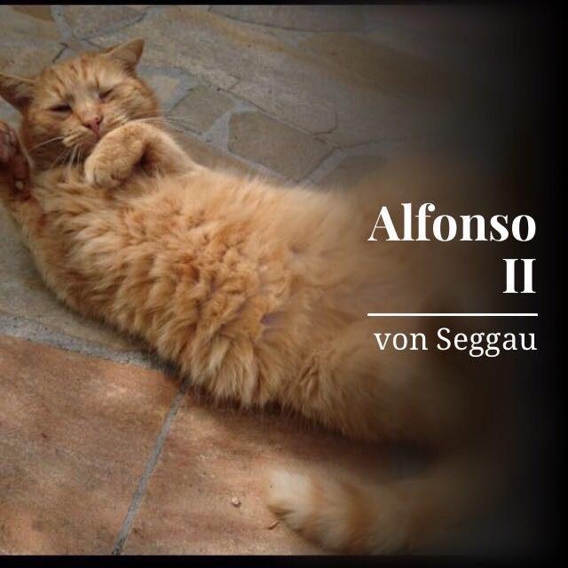 Alfonso II von Seggau