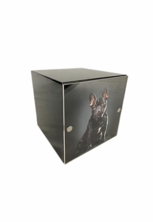 Tierkrematorium Lebring Graz Cube black Haustier 01