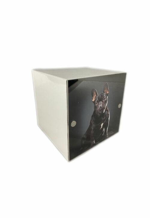 Tierkrematorium Lebring Graz Cube white Haustier 01