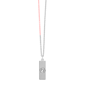 Kettenanhänger mit originalem Pfotenabdruck LM2102P