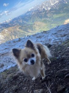 Fanta_Gedenktafel_TierkrematoriumLebring