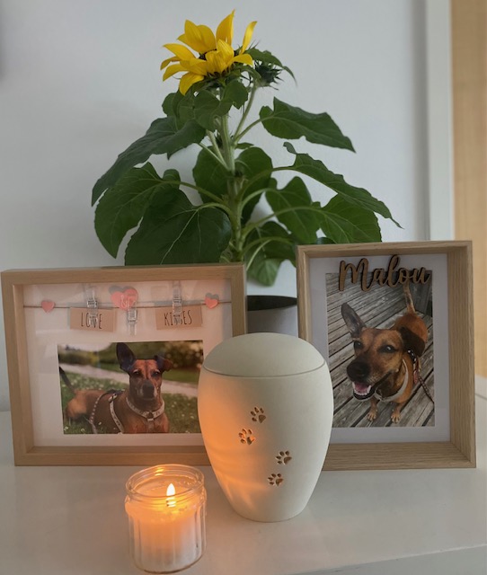 Abschied nehmen mit Pietät 30 Kundenstimme von Michaela P. zu Hund Malou