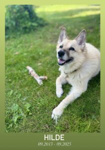 Gedenktafel_TierkrematoriumLebring_Hilde