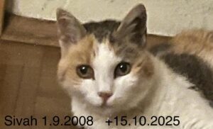 Sivah_GedenktafelTierkrematoriumLebring