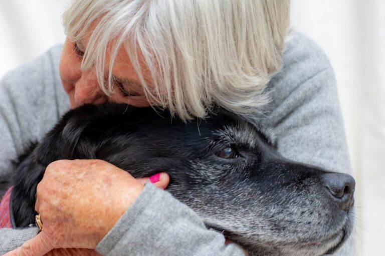 Mehr über den Artikel erfahren Trauer um Tier: Rituale und Trost nach dem Verlust eines geliebten Vierbeiners