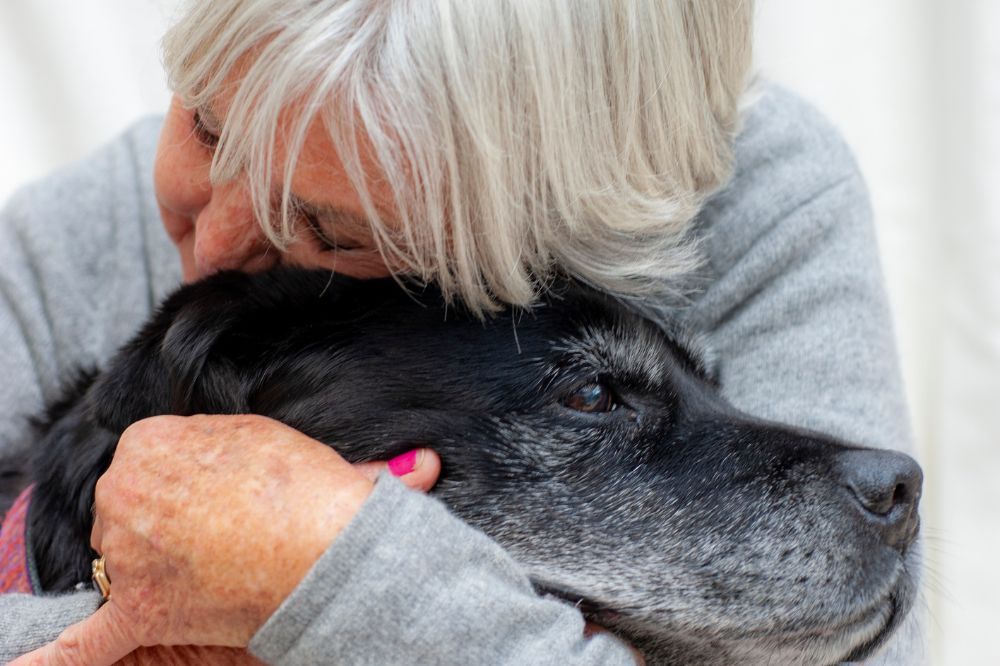 Trauer um verstorbenes Tier / Trauerrituale Tier / Hund gestorben Trost / Katze gestorben Trost / Pferd gestorben Rituale /
