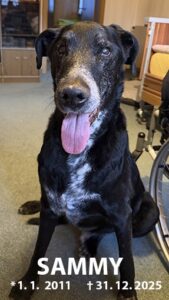 Sammy_Gedenktafel_TierkrematoriumLebring