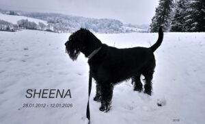 Sheena_Gedenktafel_TierkrematoriumLebring