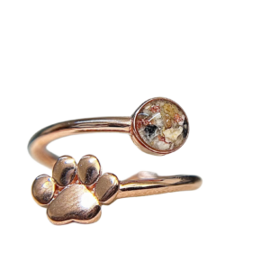 Ring Pawly