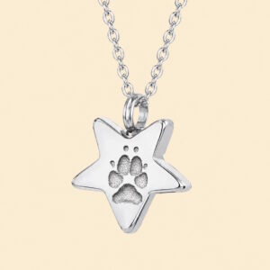AR Stern – Schmuck mit Asche und originalem Pfotenabdruck (4 Farben)