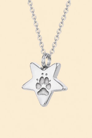 AR Stern – Schmuck mit Asche und originalem Pfotenabdruck (4 Farben)
