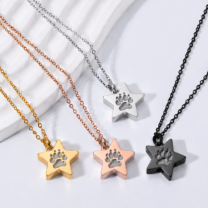 AR Stern – Schmuck mit Asche und originalem Pfotenabdruck (4 Farben)