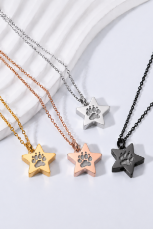 AR Stern – Schmuck mit Asche und originalem Pfotenabdruck (4 Farben)