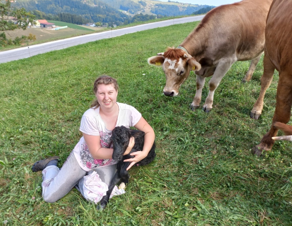 Spende der Tierhilfe Lebring